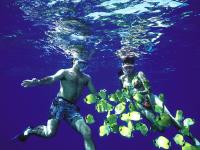  Snorkeling in Kauai